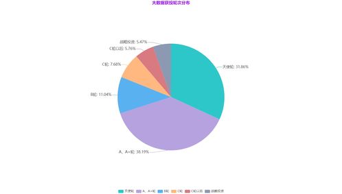 互聯網巨頭的大數據布局與未來趨勢 洞察、挑戰與機遇